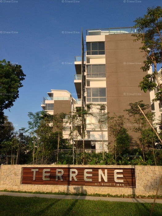 Terrene At Bukit Timah (D21), Condominium #31472